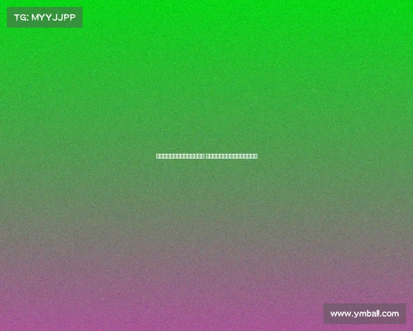 网球赛事期间交通管制措施详解 保障赛事顺利进行与市民出行畅通